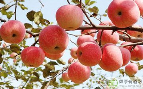 蘋果吃多了會怎樣 蘋果吃多了會怎樣