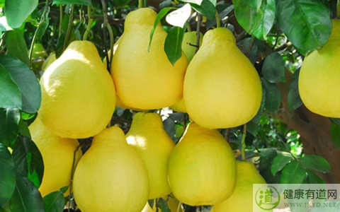 柚子不能和什麼一起吃_柚子和什麼相克 柚子不能和什麼一起吃_柚子和什麼相克