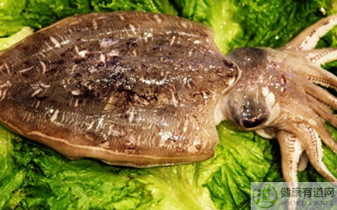 墨魚不能和什麼一起吃_墨魚和什麼相克 墨魚不能和什麼一起吃_墨魚和什麼相克