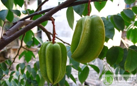 陽桃不能和什麼一起吃_陽桃和什麼相克 陽桃不能和什麼一起吃_陽桃和什麼相克