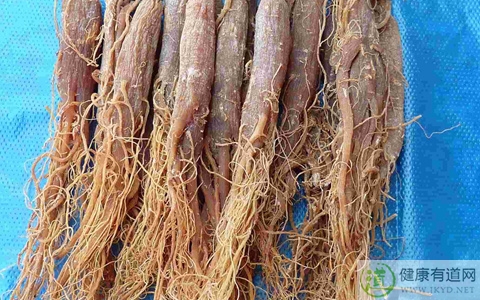 紅參不能和什麼一起吃_紅參和什麼相克 紅參不能和什麼一起吃_紅參和什麼相克