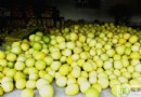 柚子吃多了會拉肚子嗎？功效、吃法、挑選與食用禁忌全解析