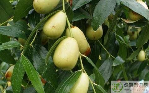 棗子吃多了會上火嗎 棗子吃多了會上火嗎