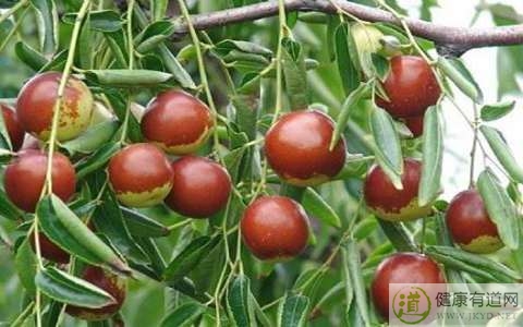 棗子吃多了會上火嗎 棗子吃多了會上火嗎