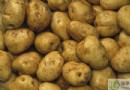 土豆和雞蛋能一起吃嗎？破解相剋迷思，掌握土豆飲食禁忌與營養功效