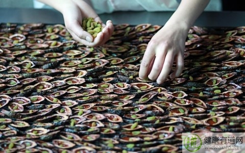 吃槟榔為什麼會出汗 吃槟榔為什麼會出汗