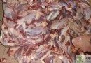 哪些人不宜吃驢肉？禁忌人群、飲食搭配與營養功效全解析