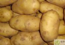 土豆吃多了會發胖嗎？解析土豆熱量、養生功效與食用禁忌