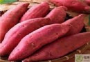紅薯不能和什麼一起吃？搭配禁忌、正確吃法與營養價值全解析