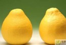 柚子吃多了會怎樣？解析柚子的功效與三大食用禁忌