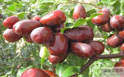 棗吃多了會怎樣 棗吃多了會怎樣