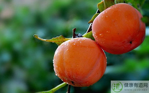 柿子和什麼不能一起吃 柿子和什麼不能一起吃