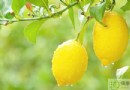 夏天吃什麼水果防曬？5大防曬水果、食譜與防曬技巧全攻略
