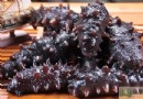 夏天能吃海參嗎？解析夏季吃海參的好處、禁忌與正確吃法