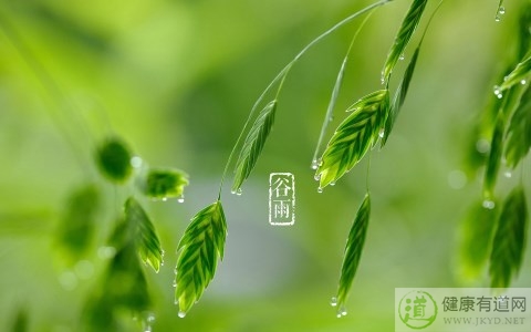 谷雨節氣的傳說 谷雨節氣的傳說