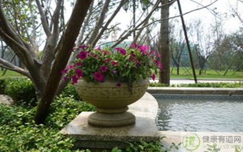 夏季防蚊蟲妙招 夏季防蚊蟲妙招