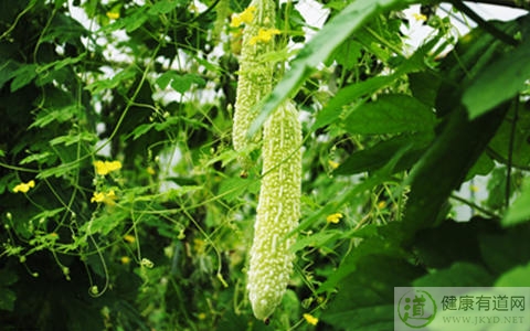 夏季皮炎怎麼治 夏季皮炎怎麼治