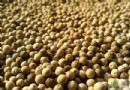 夏季皮膚瘙癢怎麼辦？原因解析、止癢用藥與飲食預防全攻略