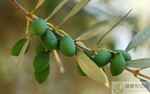 夏季如何預防感冒 夏季如何預防感冒