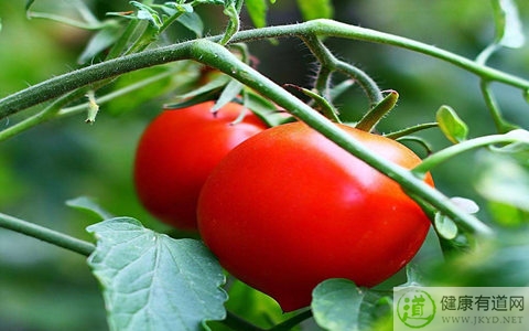 春天吃什麼對眼睛好 春天吃什麼對眼睛好