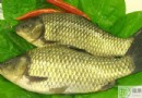 春季健脾祛濕湯食譜大全：4款祛濕靚湯＋2款養生茶，輕鬆趕走春困濕重