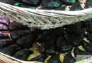 汕頭年貨有哪些？盤點潮汕傳統年味與春節飲食習俗
