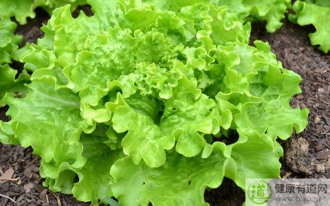 元宵節猜燈謎的來歷 元宵節猜燈謎的來歷