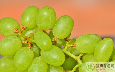 春節拜年的禮儀 春節拜年的禮儀