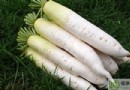 冬季蘿卜怎麼吃？功效、營養價值與家常食譜全攻略