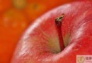冬季兒童吃什麼水果好？4種水果＋4種蔬菜推薦與飲食禁忌