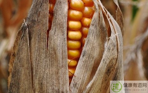 冬天洗澡用什麼好 冬天洗澡用什麼好