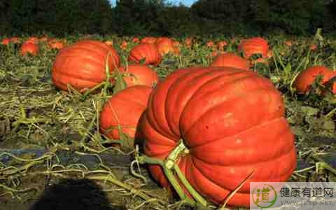 冬天皮膚干燥瘙癢吃什麼好 冬天皮膚干燥瘙癢吃什麼好