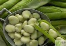冬季養腎吃什麼?推薦食材、養腎水果與飲食禁忌全解析