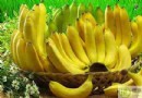 冬天吃什麼緩解便秘？3大通便食物與11招預防攻略