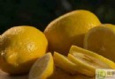 冬天吃什麼水果美白？3大美白水果＋4種美白蔬菜與飲食禁忌全攻略