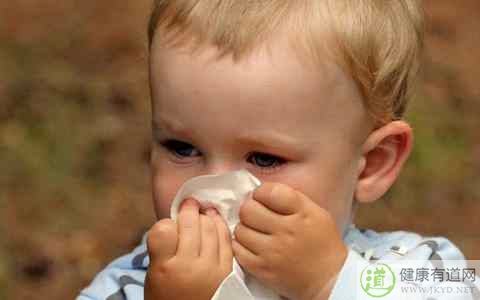 冬天吃什麼去火 冬天吃什麼去火