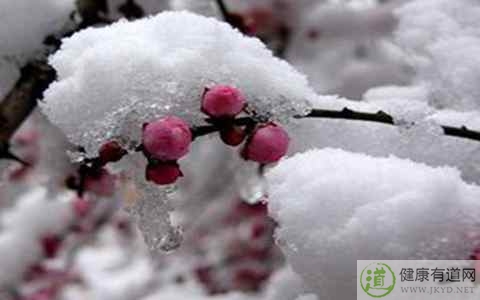 立冬是不是冬至 立冬是不是冬至