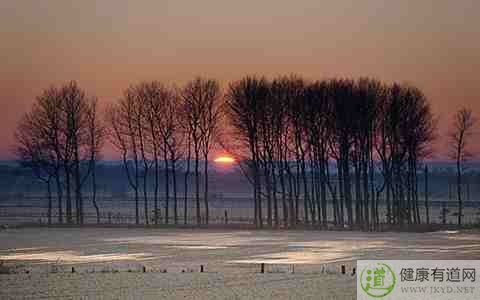 立冬能搬家嗎 立冬能搬家嗎