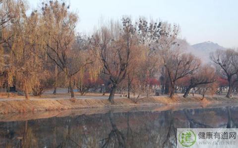 立冬與冬至的區別 立冬與冬至的區別