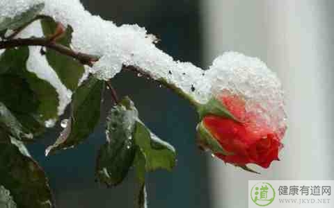 立冬後如何養生 立冬後如何養生