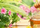 秋季臉部過敏怎麼辦？症狀解析與護理對策全攻略