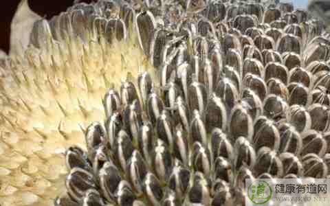 秋季怎樣養肝 秋季怎樣養肝