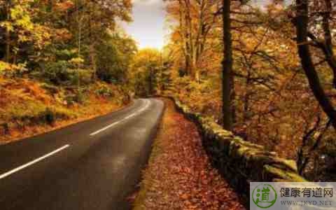 秋季頭皮干燥怎麼辦 秋季頭皮干燥怎麼辦