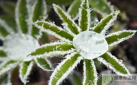 霜降的含義 霜降的含義