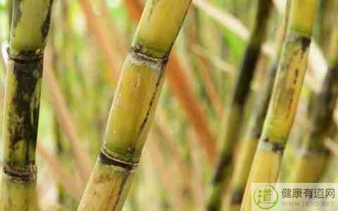 秋季降火吃什麼 秋季降火吃什麼