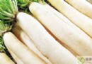 秋分養生怎麼吃?5種時令蔬菜、4種潤肺水果與飲食禁忌全解析