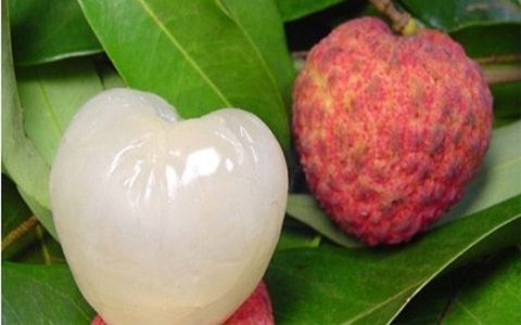 小滿吃什麼水果 小滿吃什麼水果