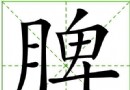 夏季養生先養脾：中醫推薦四種養脾方法