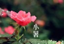 小暑吃什麼？小暑養生必吃三道菜：粉蒸蓮藕、水煮鱔片、水煮河蚌