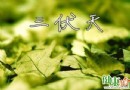 三伏天養生全攻略：從飲食、作息到運動，全方位調理指南